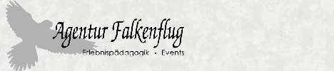 Agentur Falkenflug